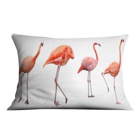 Four pink flamingo birds isolated on white Cushion (Insert: Without Insert, size: 18" X 18")