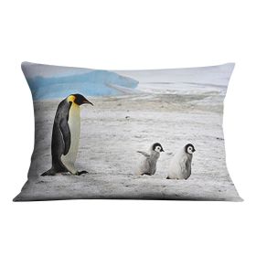 Emperor Penguin with two chicks in Antarctica Cushion (Insert: With Insert, size: 20" X 20")
