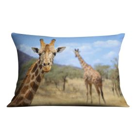 Giraffe in national park Kenya Cushion (Insert: Without Insert, size: 20" X 20")